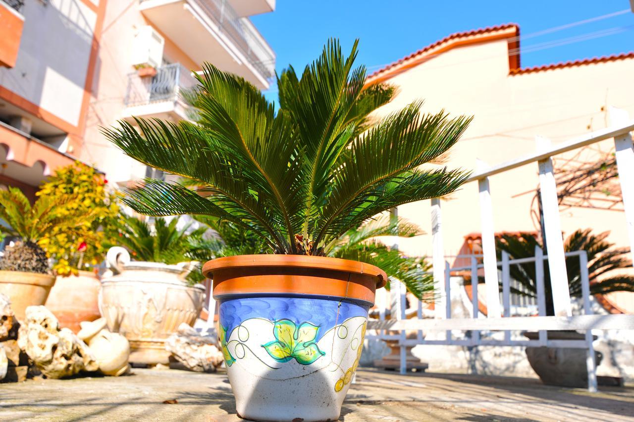 B&B Le Cycas Castellammare di Stabia Eksteriør billede