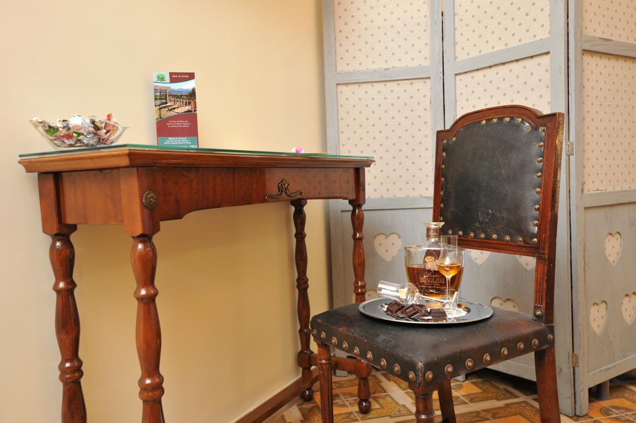 B&B Le Cycas Castellammare di Stabia Eksteriør billede