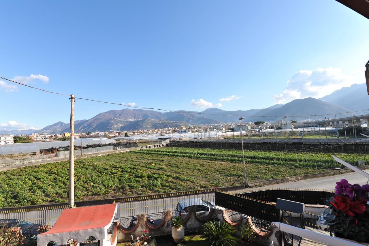 B&B Le Cycas Castellammare di Stabia Eksteriør billede