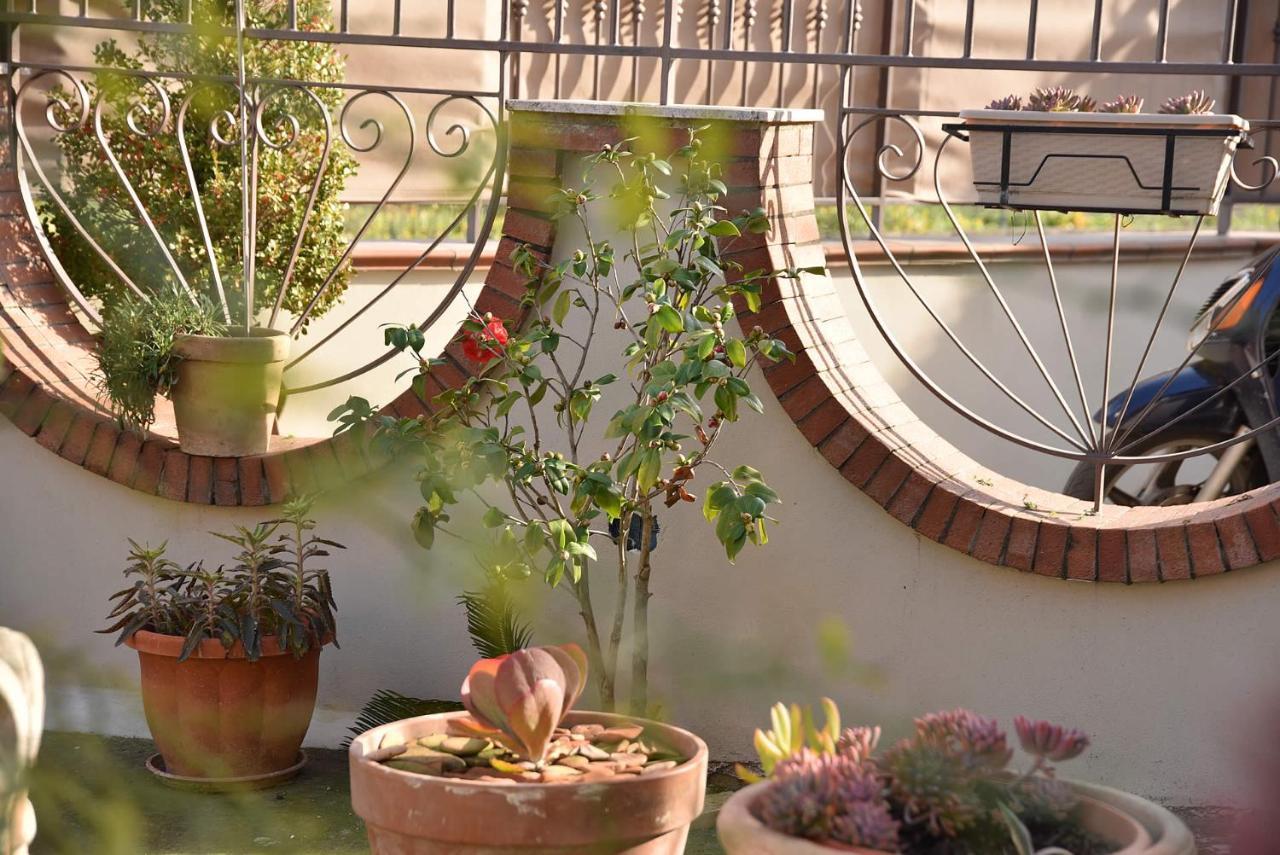 B&B Le Cycas Castellammare di Stabia Eksteriør billede